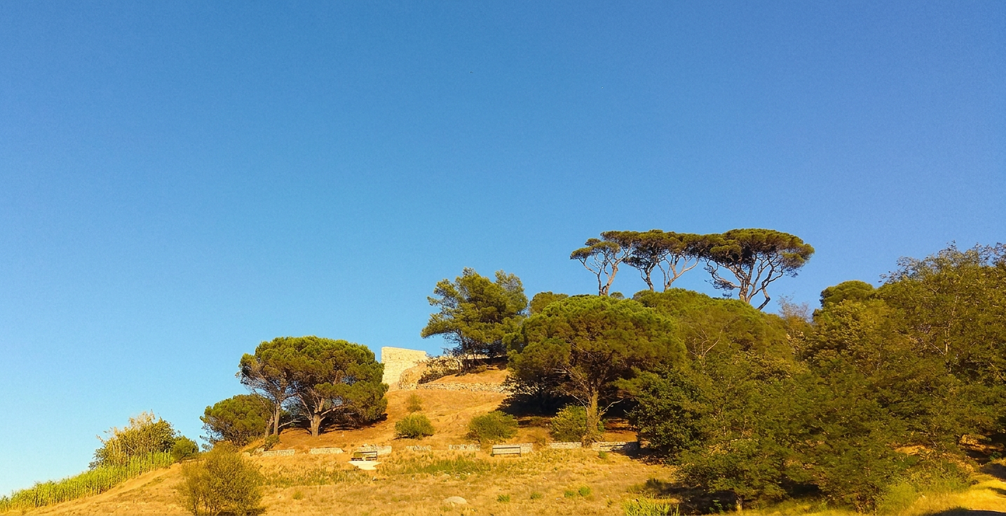 Saint Tropez 2016 (3)
