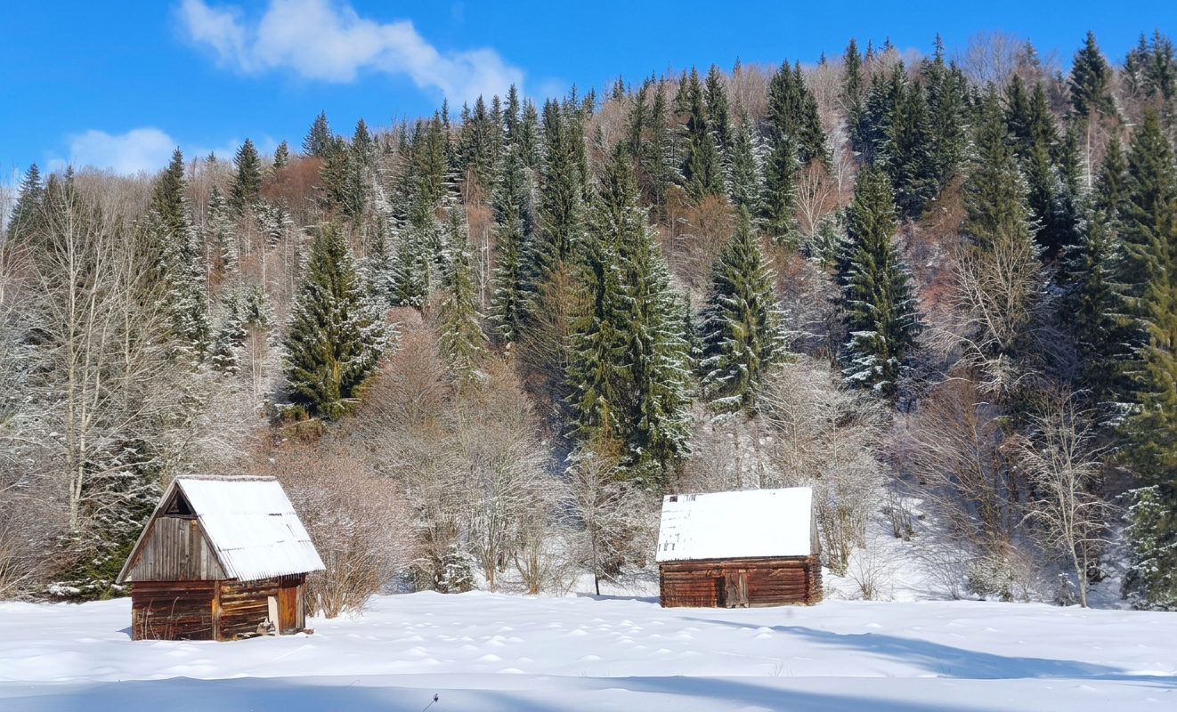 Izvorul Muresului
