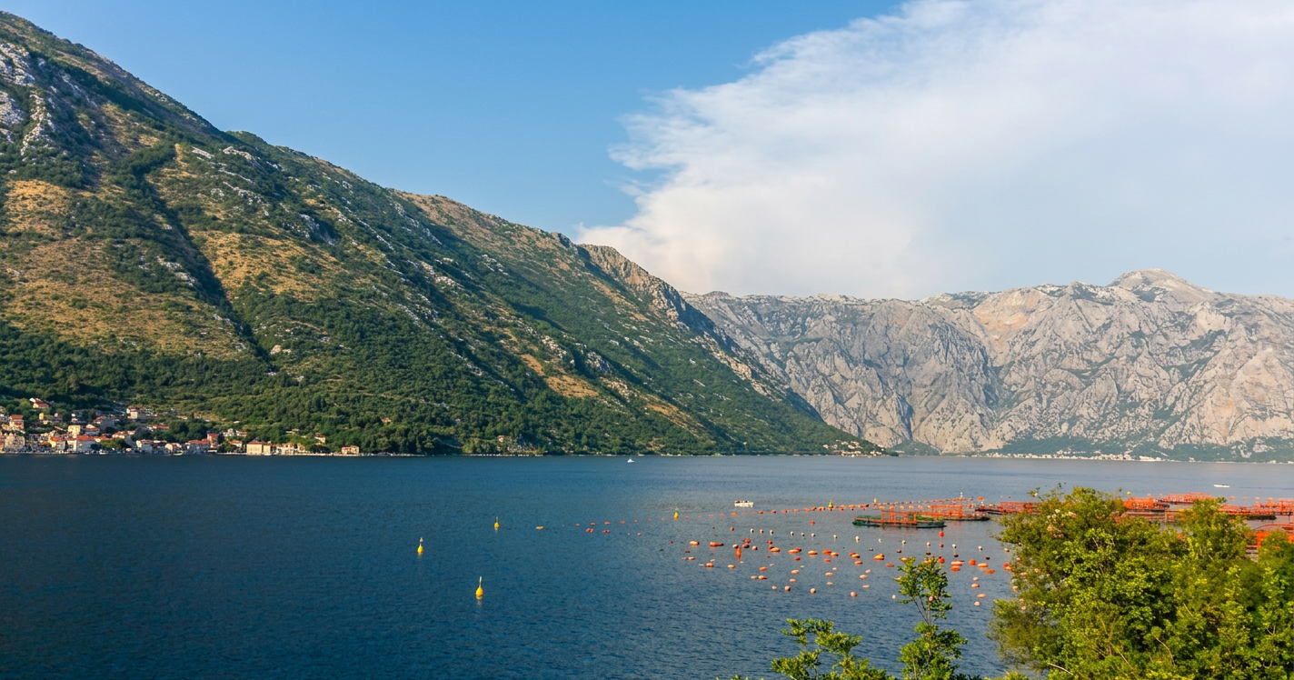 Kotor (1)